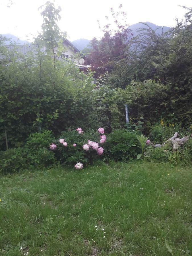 Ferienwohnung Karin Humer Bad Ischl Exterior foto